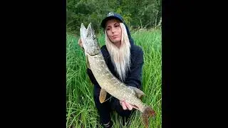 👧 + 🐟 = 👍 Veronika Machová