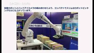 Vzense 3D Time-of-Flight RGB-D camera for depalletizing application(Ⅱ)