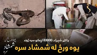 Yawa Wraz La Shamshad Sara | یوه ورځ له شمشاد سره - ډاکټر شېرزاد، له 83000 لړمانو سره ژوند