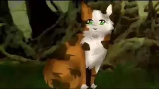 ☆♡Warrior cats||Коты Воители♡☆
