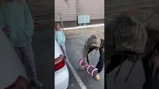 How to ride a hover board on lunch time