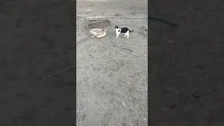 под наблюдением специалиста
