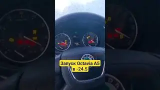 Запуск в минус 24 градуса #octavia #octaviaa5 #skoda