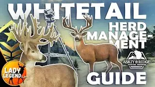 How to EASILY Spawn Your WHITETAIL GREAT ONE Using HERD MANAGEMENT!