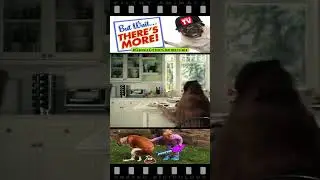 Dog Frames Cat