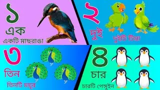সংখ্যা গণনা শিখি || bangla songkha lekha || numbers