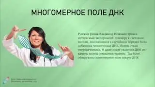 Какие тайны скрывает наша ДНК?