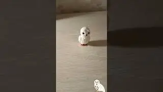 🦉Совушка из легкого пластилина / 