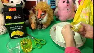 Как вырастить кристалл ч3