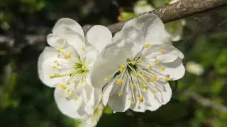 🔴Давно Не Виделись. Прямой Эфир
