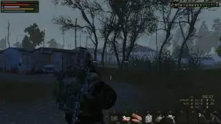Stalker Online Квест Собачьи уши на службе науки