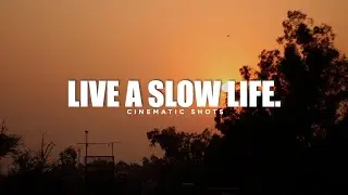 Live a Slow Life.