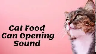Cat Food Can Opening SFX- Free download  