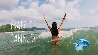 Praia de Cambury, São Sebastião- SP | litoral norte