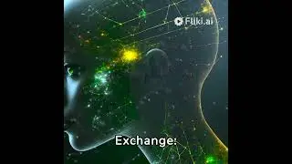 Crypto Exchange Review : MEXC