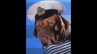 Капитаны +