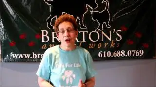 Main Line Philadelphia Pet Pros - Pals for Life