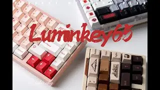 LUMINKEY 65 limited color pink and cappuccino quick flashing