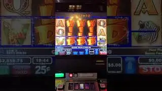 Wildlife slot VLT Massive 6 grand win !!