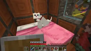 I Tamed  Cats in Minecraft