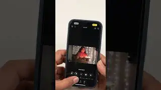 iPhone lo Pictures ని easy ga ela edit చేసుకోవచ్చు 