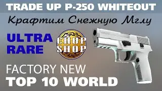 CS:GO Trade Ups VERY RARE FLOAT: P250 Whiteout Снежная Мгла (Factory New). Succes?