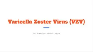 Varicella Zoster Virus