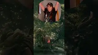 Playing Elden Ring For The First Time - Margit Edition pt2 #youtubeshorts