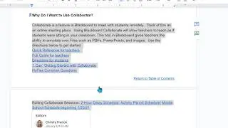 Google Docs 'Show Editors' Feature