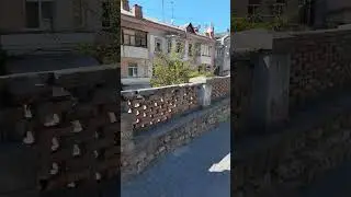 вся аллейка котиков
