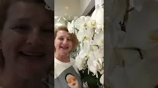 Поздравления от команды Толпар