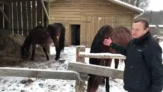 Моя Малая Родина (Брылино-Пушгоры)