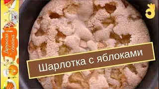 Шарлотка с яблоками в духовке /Pie with apple