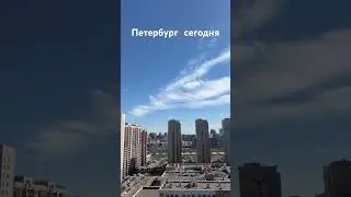 Петербург сегодня. 2 мая 2024 #санктпетербург #спб #петербург #nature