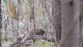 Check the head!