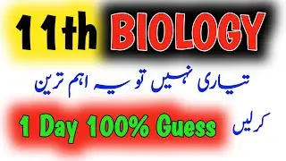 11th Biology Guess Paper 2024 |1st year FSc Biology 1 Day Plan 2024| important Short Question| HBSA
