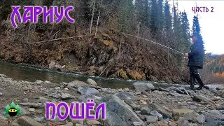 Хариус пошёл.... (часть 2)