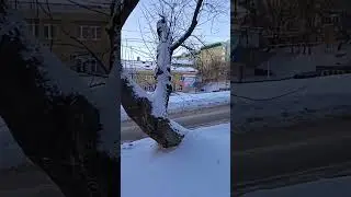 5 дачная, Александрия
