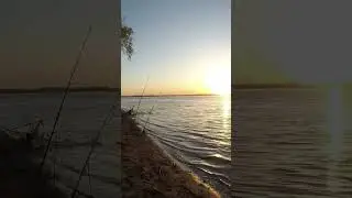 Рыбалка на леща, утро.