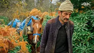 Zorlu Migration in Autumn - Journey from Plateau to Village | Documentary ▫️4K▫️