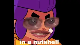 SHELLY in a nutshell