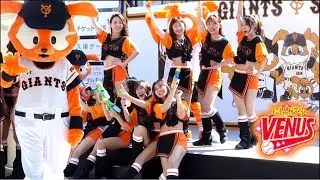 Giantsチア VENUS(ヴィーナス) 2019.07.24 京セラドーム