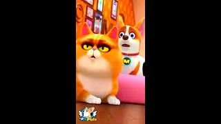 Pet House 🐱🐹 | Pet's Best Exclusive Seats寵物最佳專寵座位 | Pet House Cartoon Shorts 爆笑寵物店小秘密  (2022)