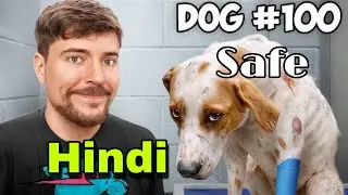 आज हम 100 डॉग को गोद लेने वाले हैं ! @MrBeast