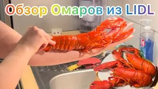 Распаковка икранистого омара из Lidl в Германии