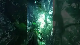 Hoyo x ufotable Genshin Long Term Project 