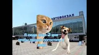 рил:ко мне приехал друг//проду? //мемы