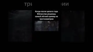 МЕМ №118 КТО ЭТО ВАША ТРИГОНОМЕТРИЯ