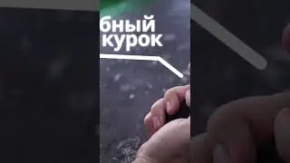 Аэрограф универсальный Вега Ork's Workshop