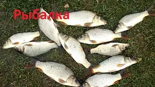 Рыбалка удочкой на кукурузу